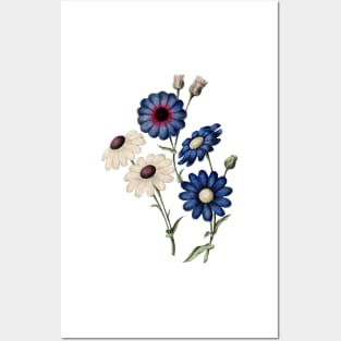 Spring Flowers Posters and Art